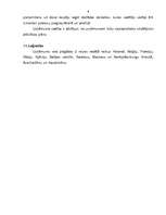 Referāts 'SWOT analīze kravu pārvadājumu uzņēmumā', 6.