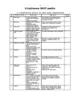 Referāts 'SWOT analīze kravu pārvadājumu uzņēmumā', 9.