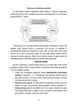 Referāts 'Latvijas iekšzemes kopprodukts, tā dinamika un attīstības tendences', 12.