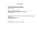 Konspekts 'Zvaigznes semantiskā un pragmatiskā nozīme', 3.