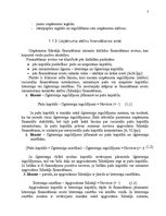 Referāts 'Uzņēmuma aktīvu vadība', 7.