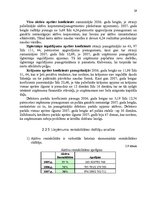 Referāts 'Uzņēmuma aktīvu vadība', 29.