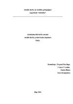 Eseja 'Sociokultūras nozīme kopienā', 1.