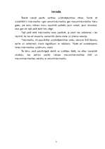 Referāts 'Mazumtirdzniecības attīstības problēmas', 3.