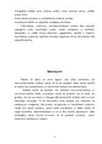 Referāts 'Mazumtirdzniecības attīstības problēmas', 11.