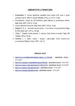 Referāts 'Tiesību normu piemērošanas stadijas', 21.