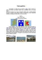 Referāts 'Īrija', 10.