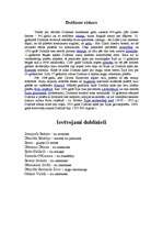 Referāts 'Īrija', 11.