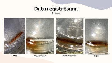 Prezentācija 'Korozija', 9.