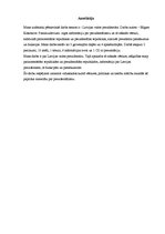 Referāts 'Latvijas valsts prezidentūra', 2.