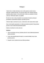 Referāts 'Latvijas valsts prezidentūra', 18.