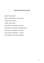 Referāts 'Lībieši 11.-13.gadsimtā', 11.