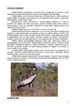 Konspekts 'Dzērvjveidīgo un tārtiņveidīgo kārta. Dzērve un sloka', 5.