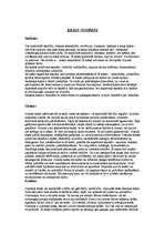 Referāts 'Apģērba stila ietekme uz cilvēku', 9.