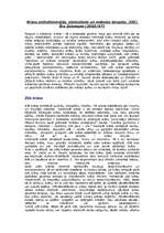 Referāts 'Apģērba stila ietekme uz cilvēku', 13.