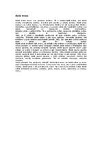 Referāts 'Apģērba stila ietekme uz cilvēku', 17.