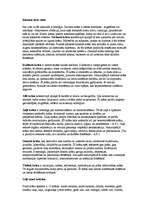 Referāts 'Apģērba stila ietekme uz cilvēku', 19.