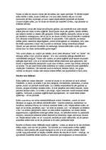 Referāts 'Apģērba stila ietekme uz cilvēku', 21.