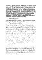 Referāts 'Apģērba stila ietekme uz cilvēku', 31.