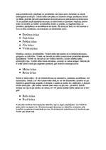 Referāts 'Apģērba stila ietekme uz cilvēku', 33.