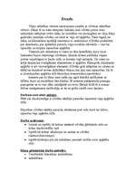 Referāts 'Apģērba stila ietekme uz cilvēku', 38.