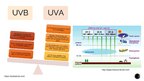 Prezentācija 'Ultravioletais starojums', 7.