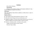 Referāts 'Koka arhitektūra Pārdaugvā', 1.