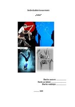 Biznesa plāns 'Sporta deju skola', 1.