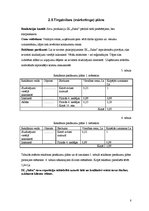 Biznesa plāns 'Sporta deju skola', 8.