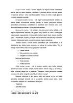 Eseja 'Tiesību normu klasifikācija', 3.