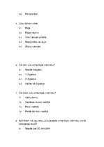 Paraugs 'Interneta lietošanas paradumi Latvijā', 2.