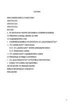 Referāts 'Uzņēmējdarbības plānošana pakalpojumu sfērā', 2.