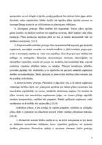 Referāts 'Uzņēmējdarbības plānošana pakalpojumu sfērā', 6.