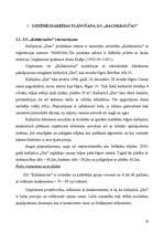 Referāts 'Uzņēmējdarbības plānošana pakalpojumu sfērā', 17.