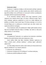 Referāts 'Uzņēmējdarbības plānošana pakalpojumu sfērā', 25.