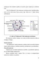 Referāts 'Uzņēmējdarbības plānošana pakalpojumu sfērā', 27.