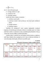 Referāts 'Uzņēmējdarbības plānošana pakalpojumu sfērā', 29.