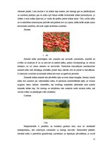 Diplomdarbs 'Funkcionālo telpu krāsu noformējums atkarībā no cilvēku vecuma', 13.