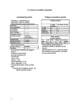 Prakses atskaite 'Bērna aprūpes plāns', 4.