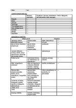 Prakses atskaite 'Bērna aprūpes plāns', 7.