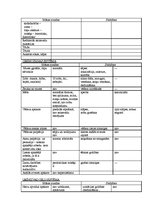 Prakses atskaite 'Bērna aprūpes plāns', 9.