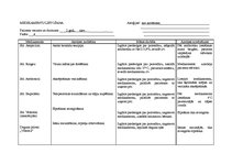 Prakses atskaite 'Bērna aprūpes plāns', 20.