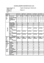 Prakses atskaite 'Bērna aprūpes plāns', 25.