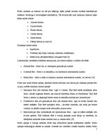 Referāts 'Hronisku brūču aprūpe ambulatorajā praksē', 7.