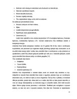 Referāts 'Hronisku brūču aprūpe ambulatorajā praksē', 10.