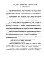 Referāts 'SIA "Elpa" makrovides un mikrovides raksturojums', 4.