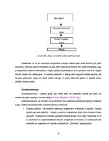 Referāts 'SIA "Elpa" makrovides un mikrovides raksturojums', 14.