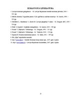 Referāts 'SIA "Elpa" makrovides un mikrovides raksturojums', 27.