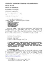 Konspekts 'Latviešu valodas kultūra', 4.