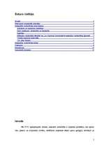 Referāts 'Sociālo, ekonomisko un kultūras faktoru ietekme uz seksuālo vardarbību pret siev', 2.